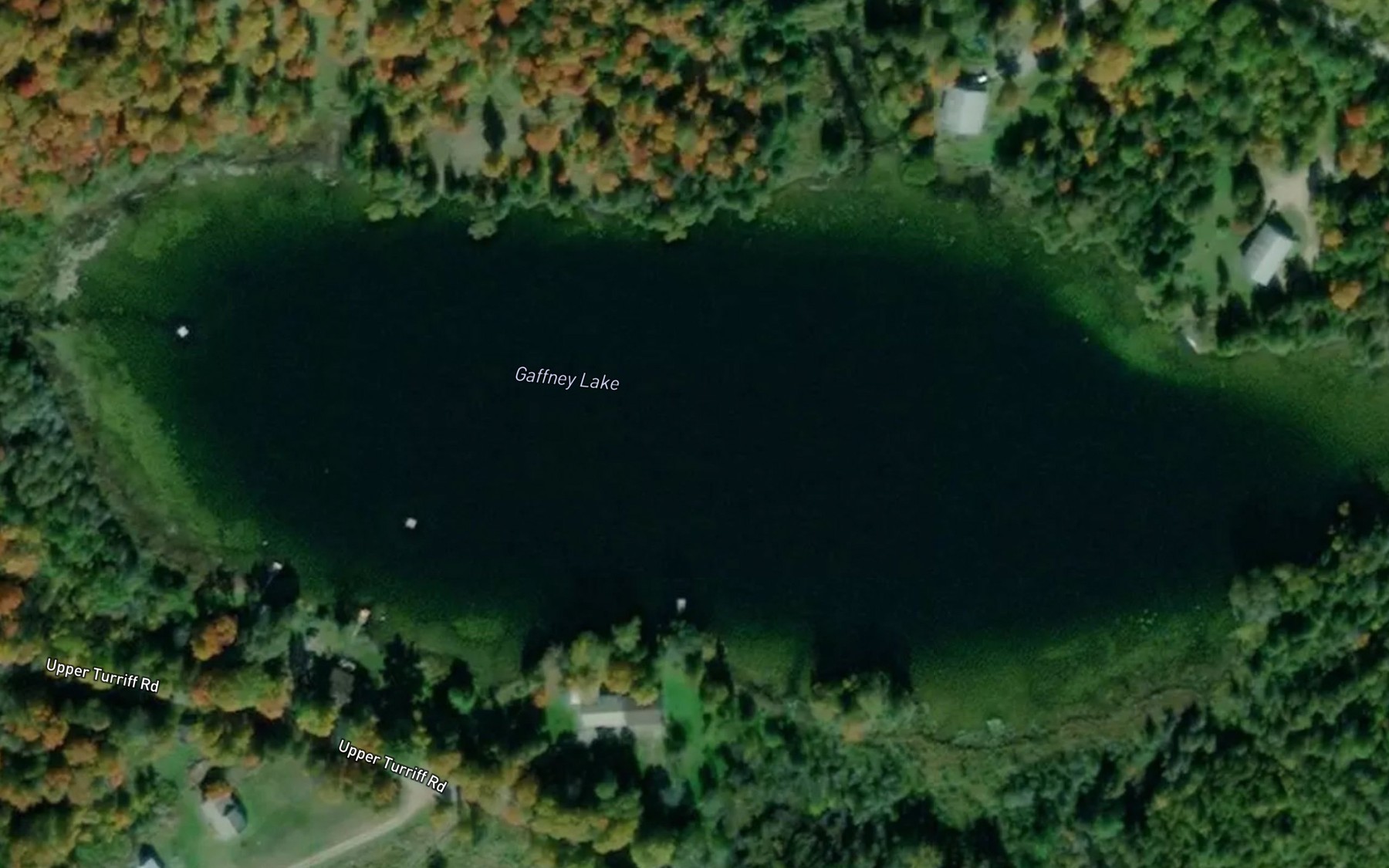 Satellite map of the Gaffney Lake