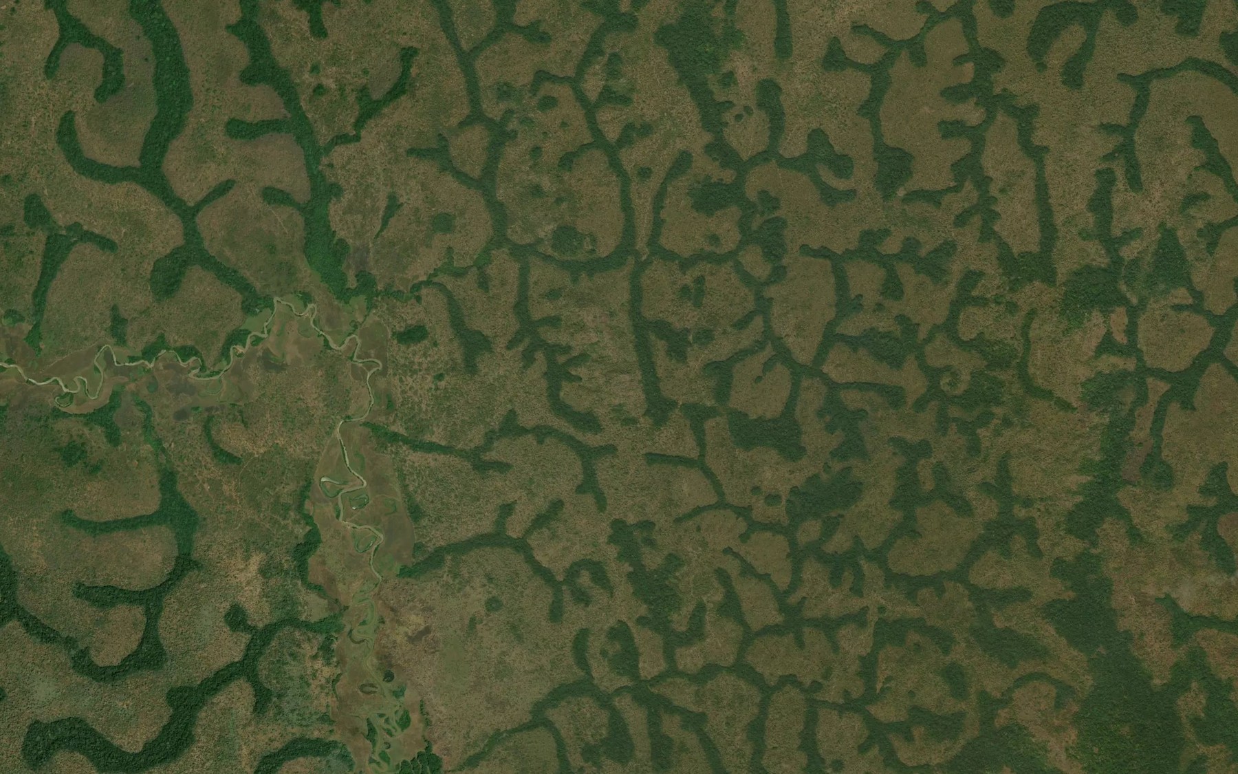 Satellite map of the Mandaya