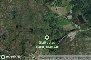 Ardalstjorna
