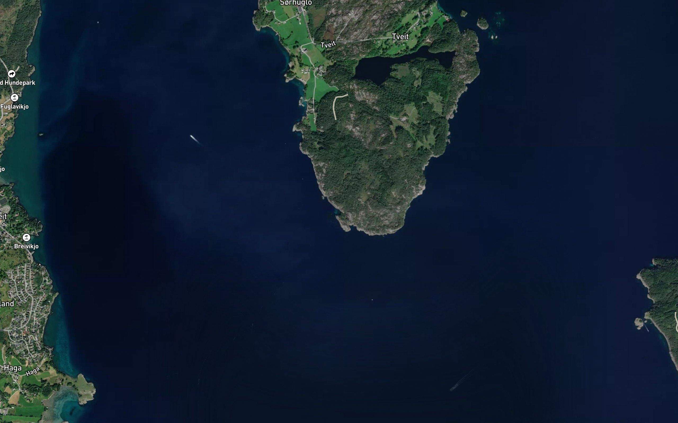 Gronevika