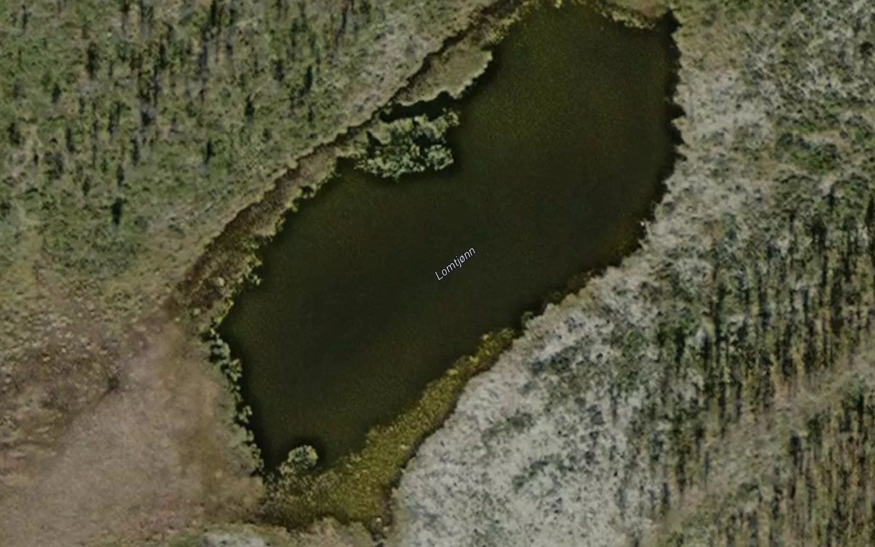 Satellite map of the Lomtjonn
