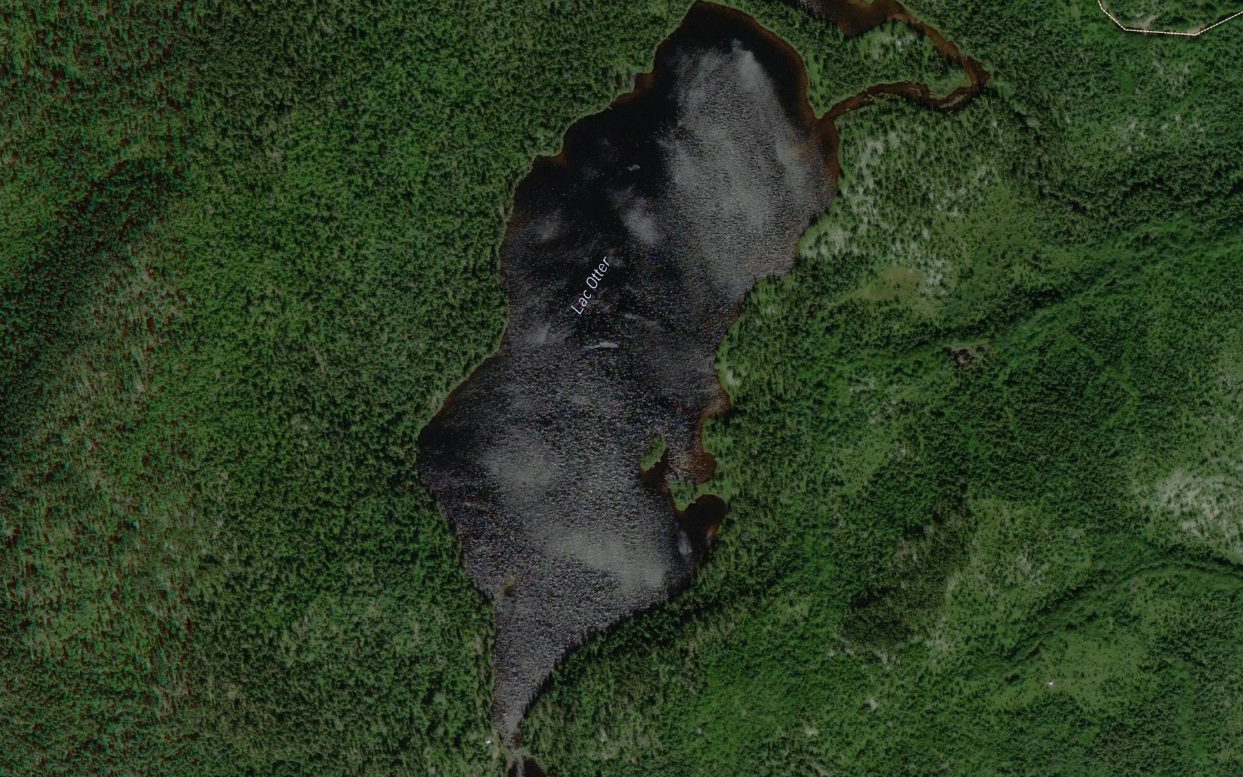 Satellite map of the Lac Otter