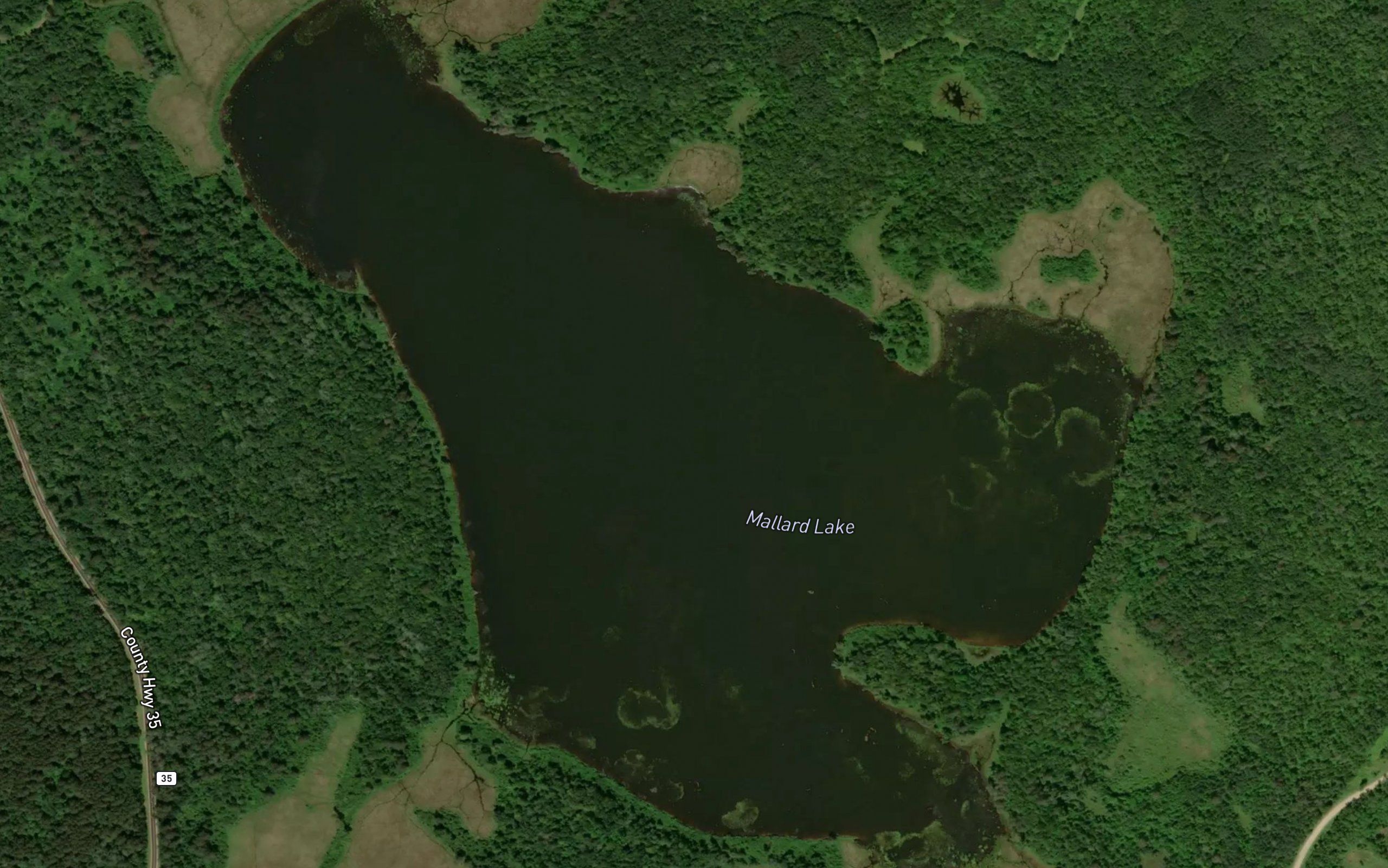 Mallard Lake