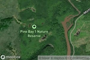 Pine River