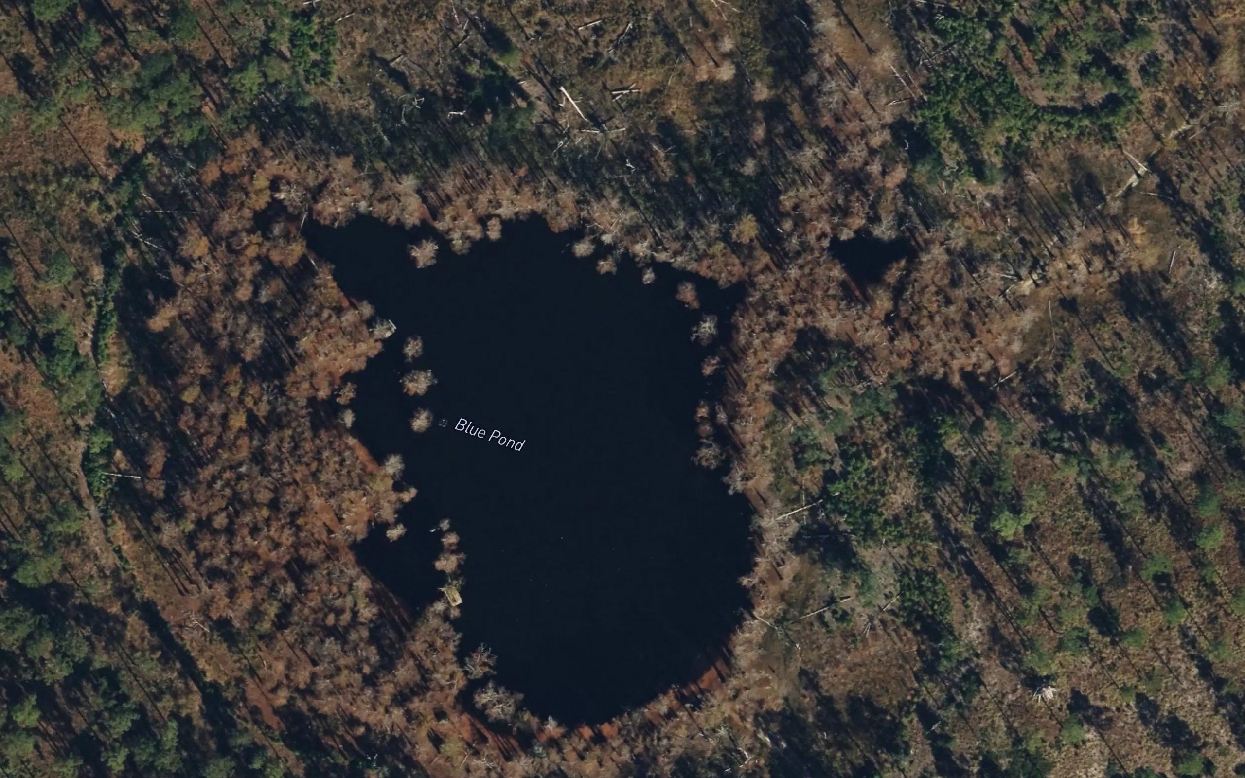 Blue Pond