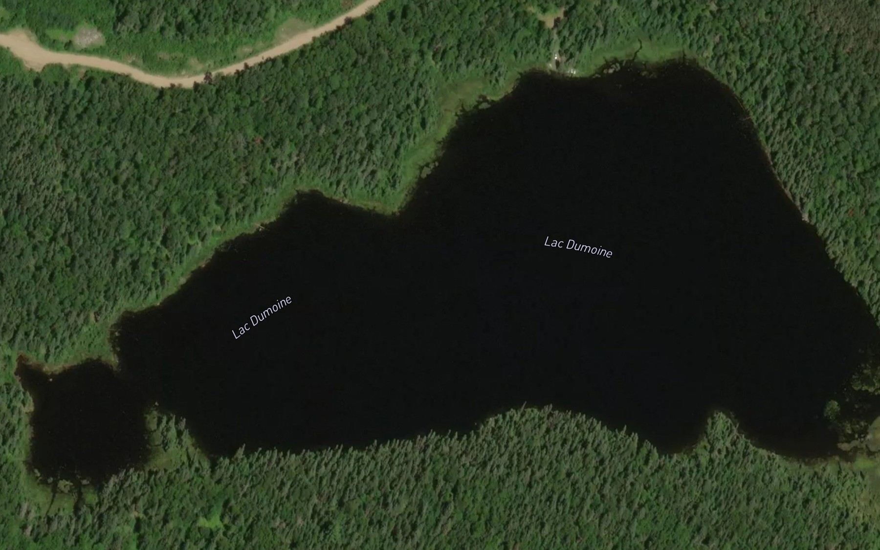 Satellite map of the Lac Dumoine