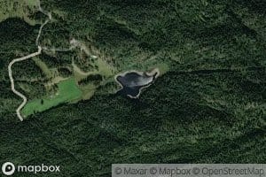 Skogsmarktjorni