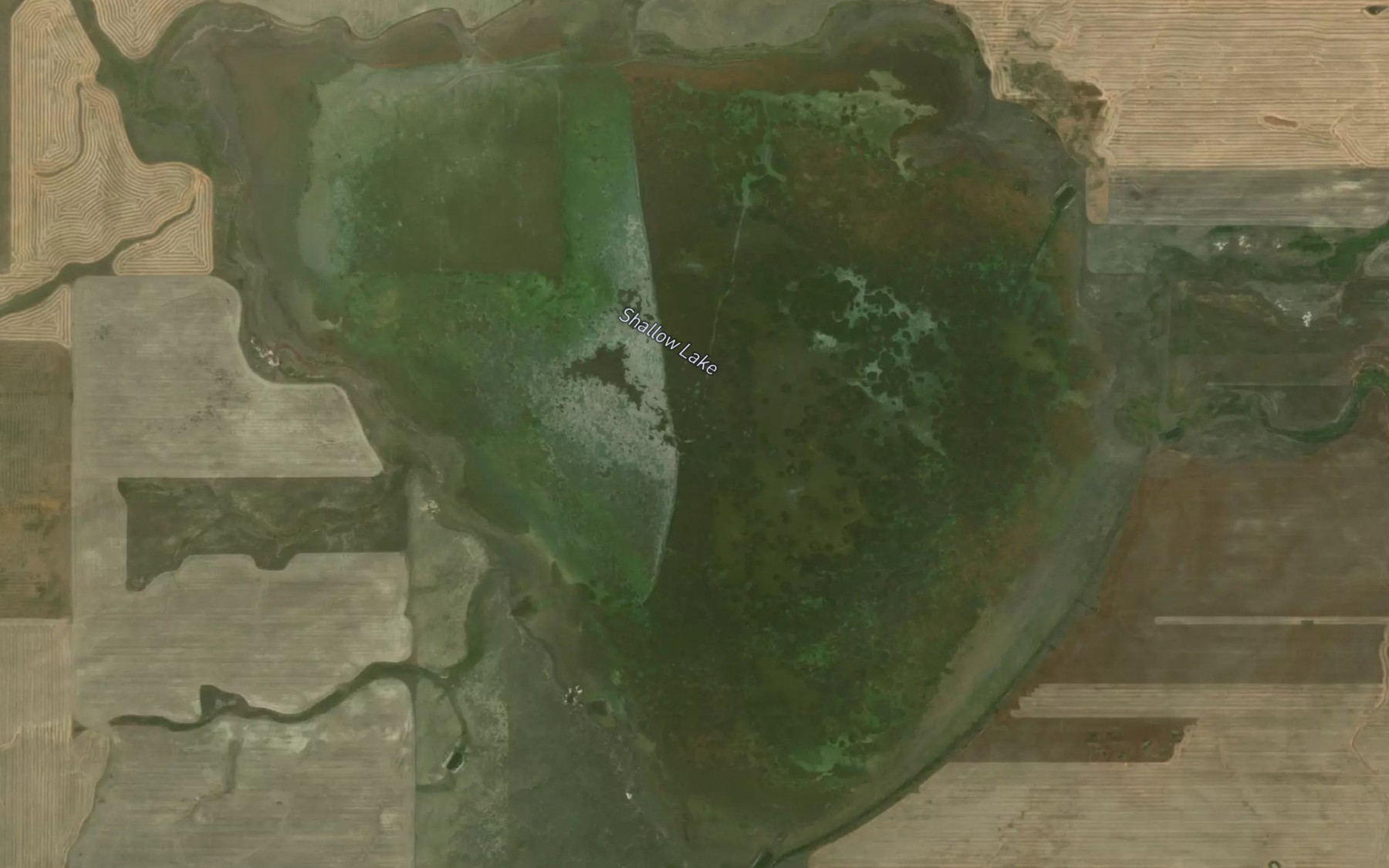 Satellite map of the Shallow Lake
