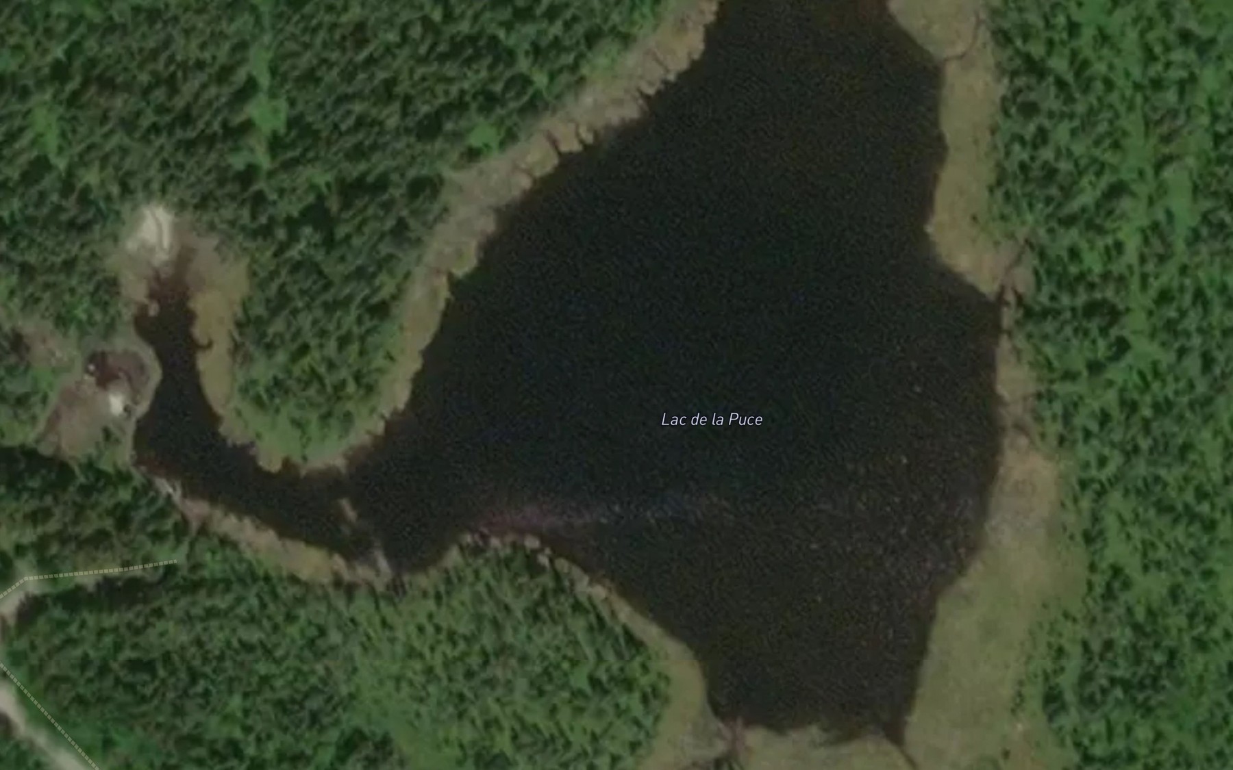 Satellite map of the Lac de la Puce