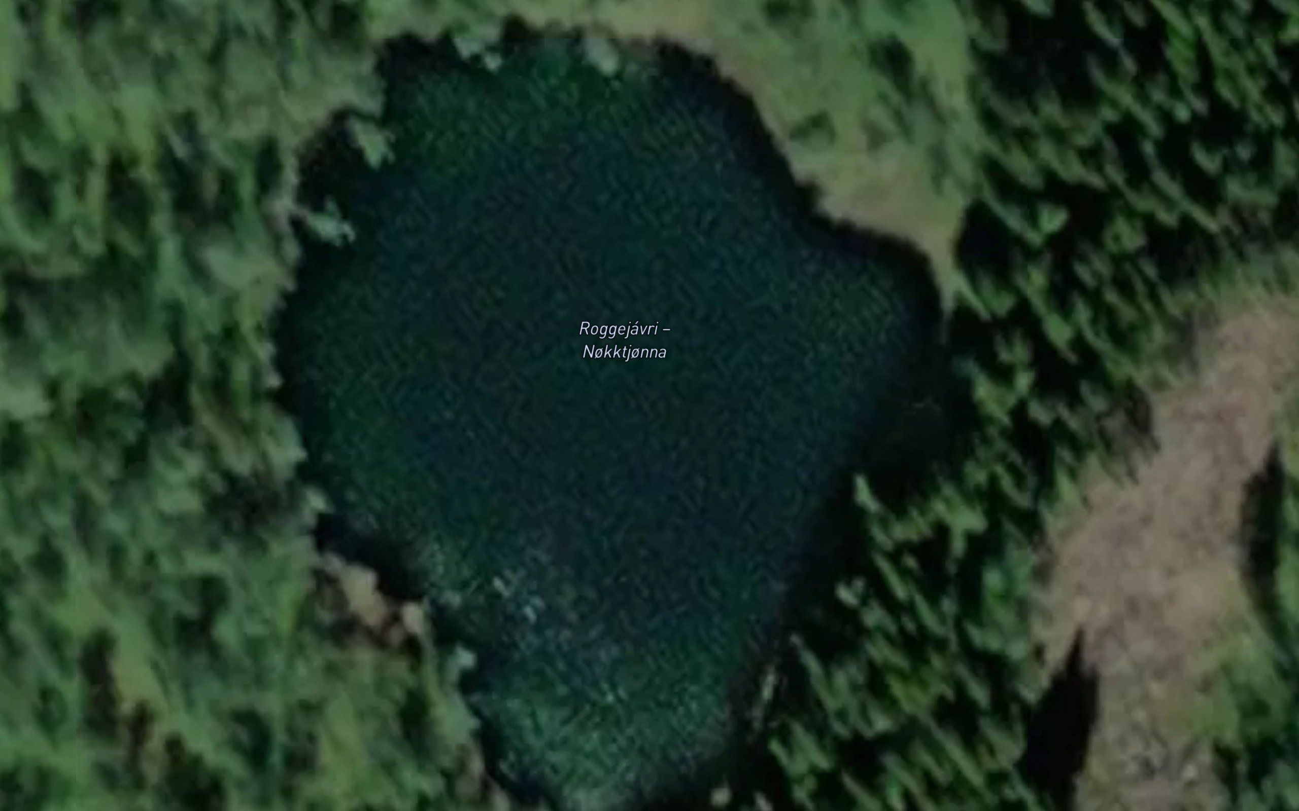 Nokktjorna