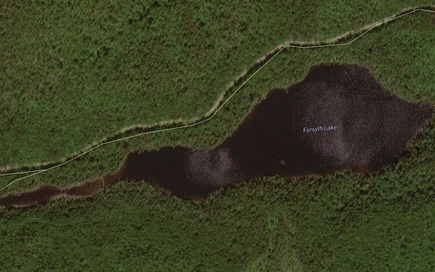 Satellite map of the Forsyth Lake