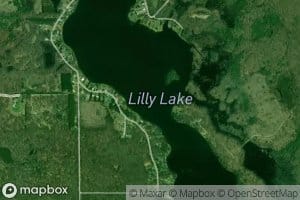 Lily Lake