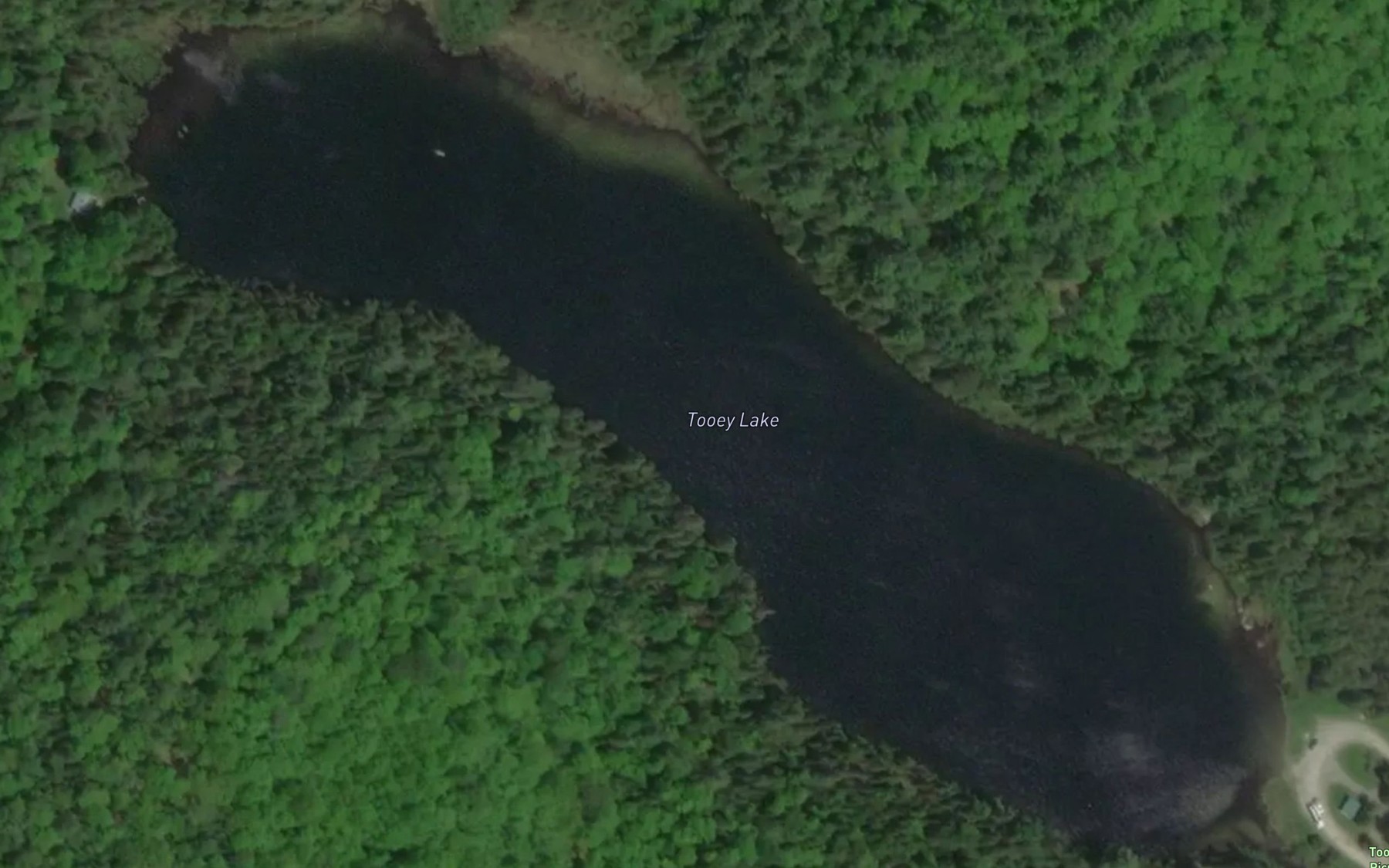 Satellite map of the Tooeys Lake
