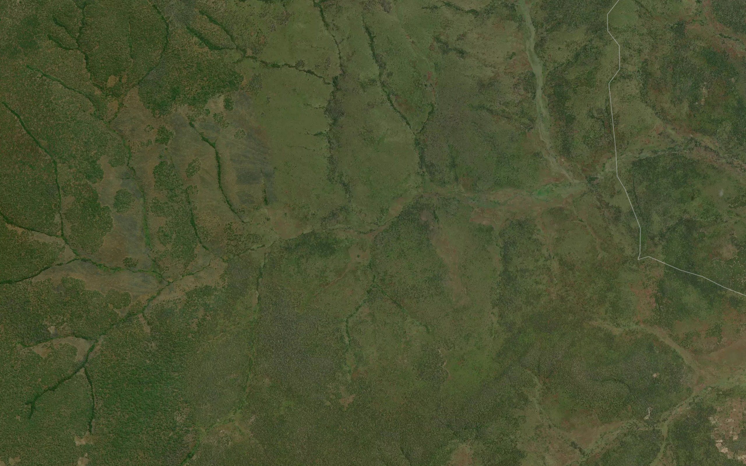 Kasengo