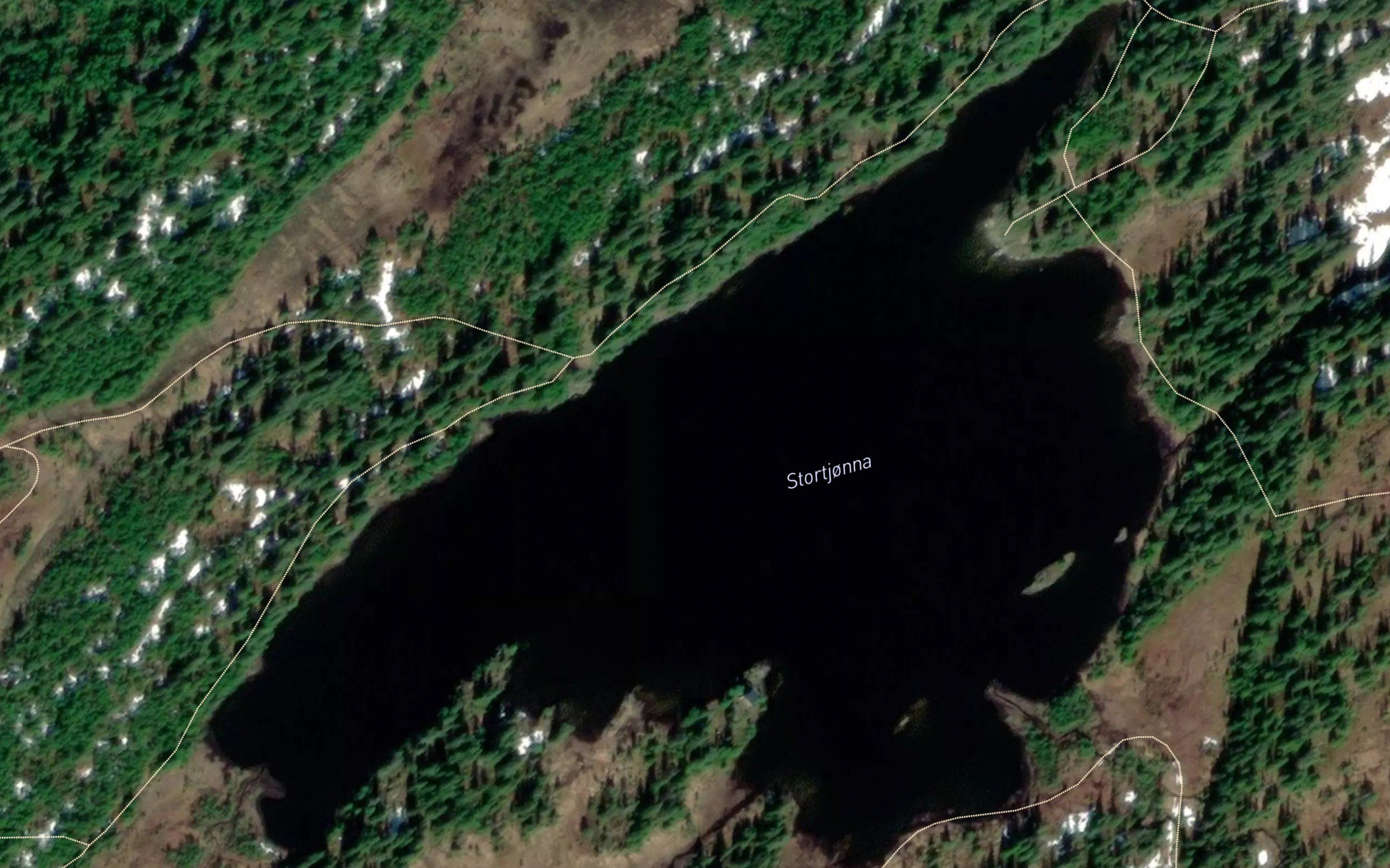 Stortjorna