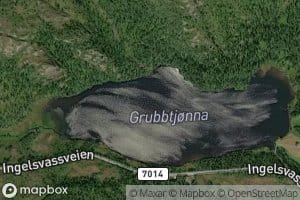 Grubbtjorna