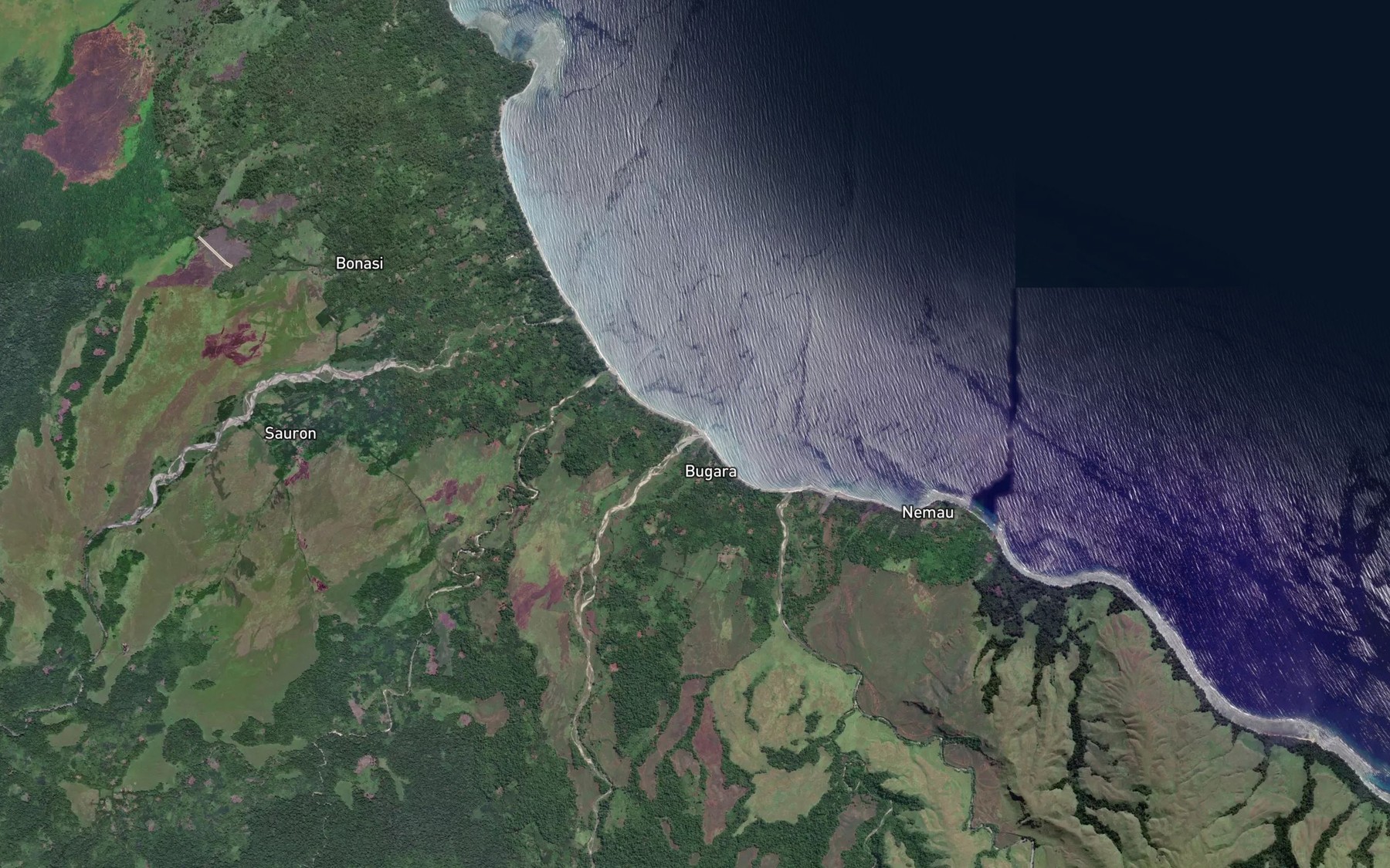 Satellite map of the Sari River