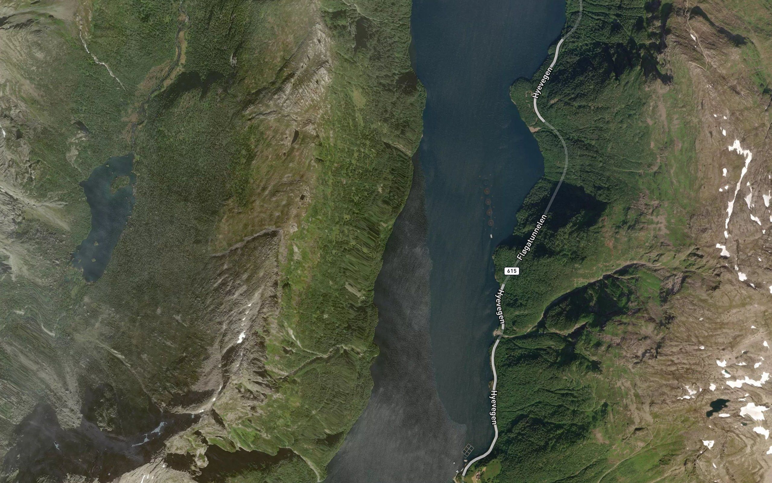 Kjevika