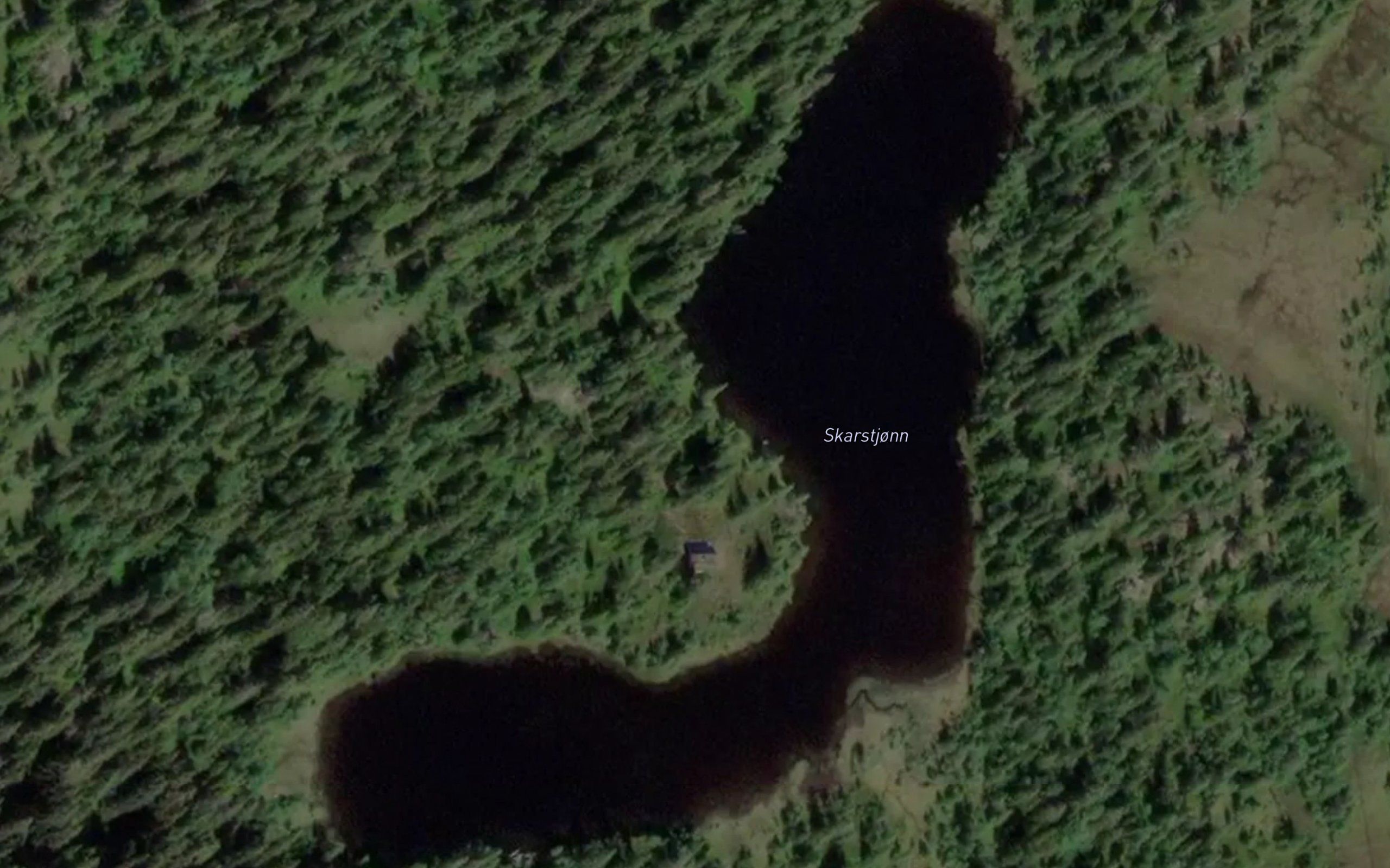 Skardstjorni