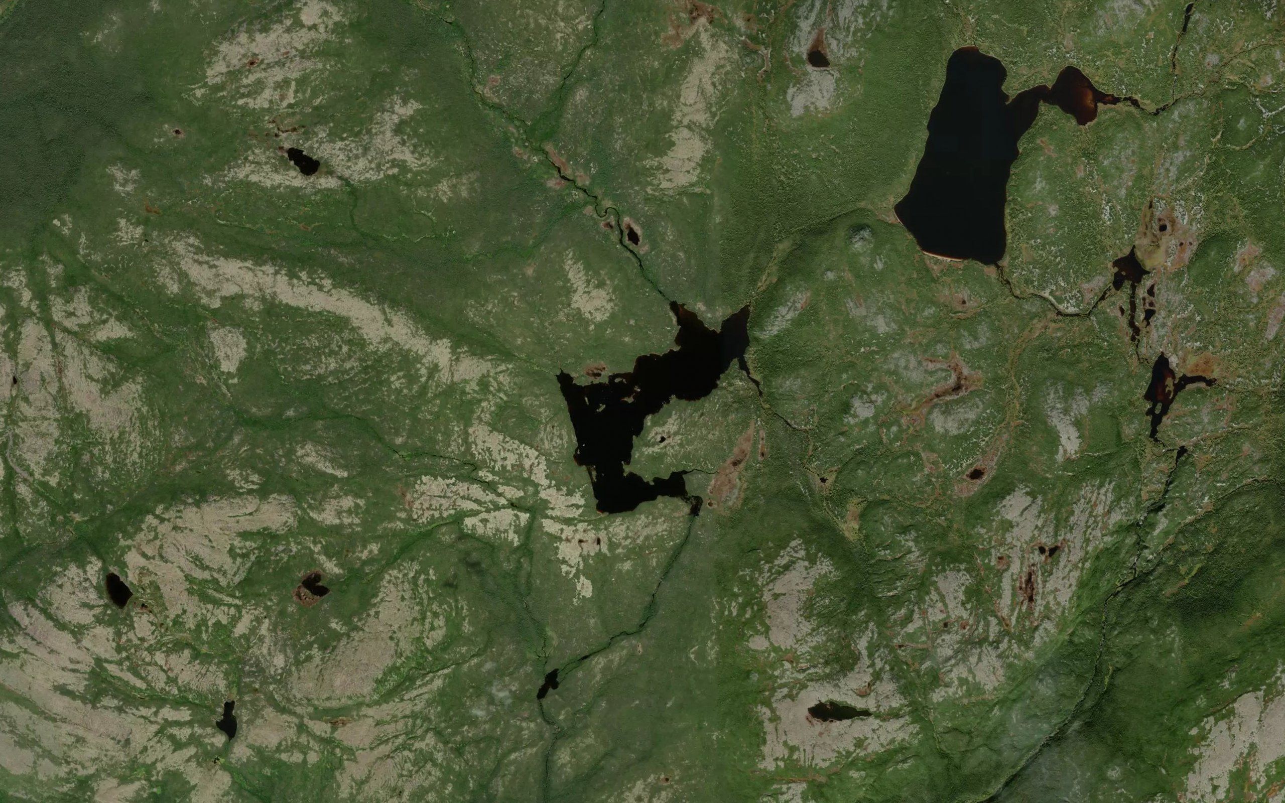 Lac Beaver