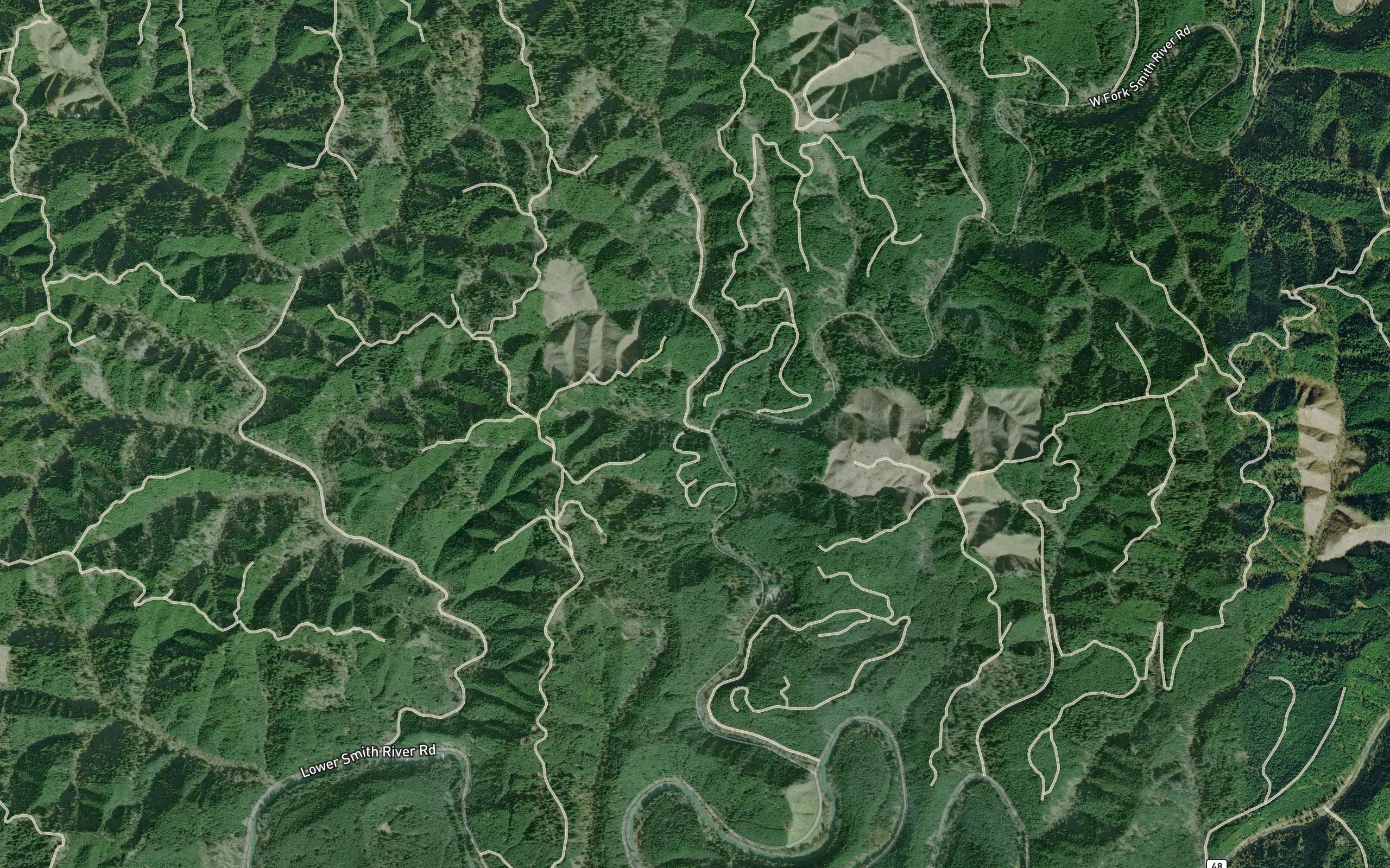 Coon Creek