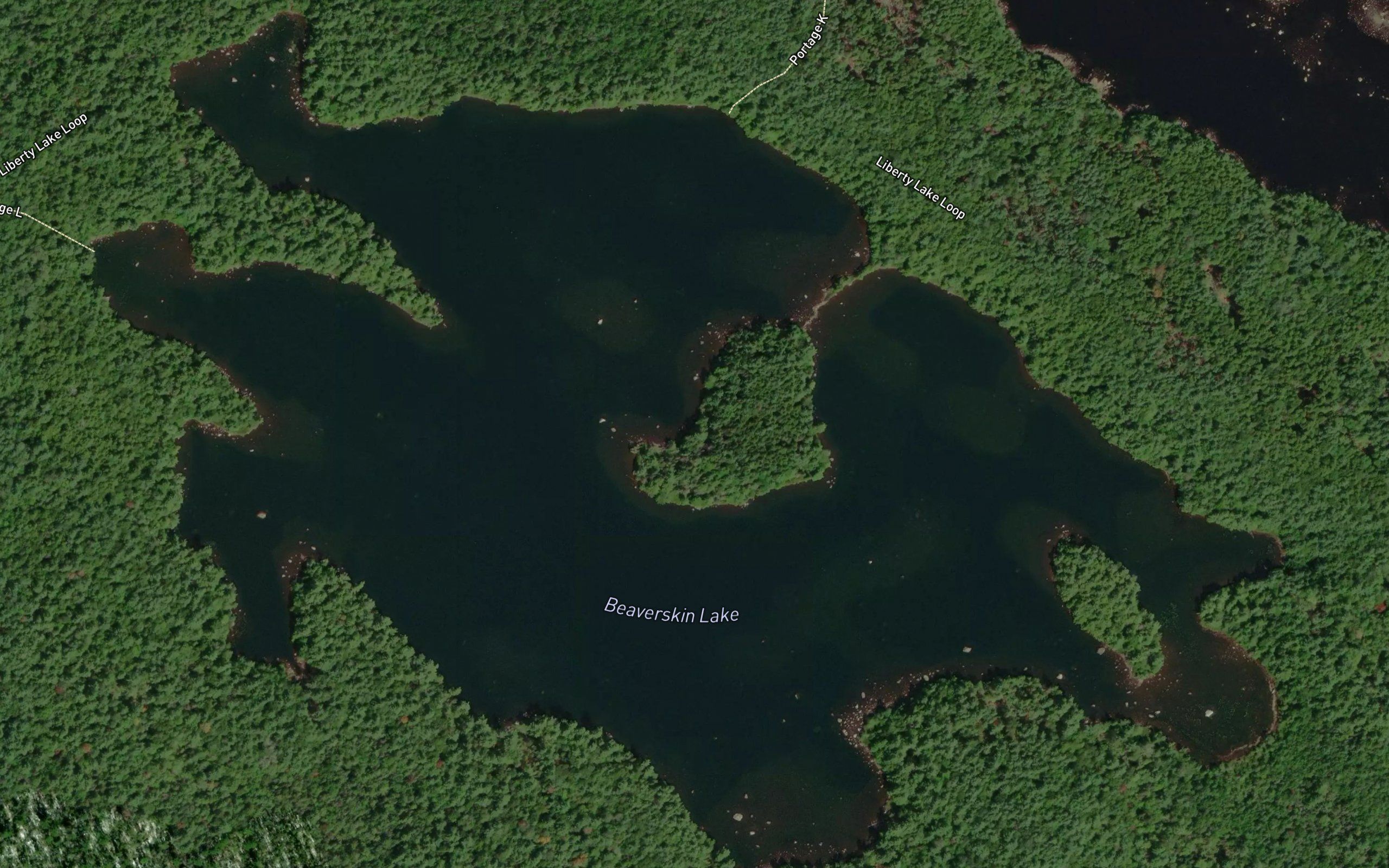 Beaverskin Lake