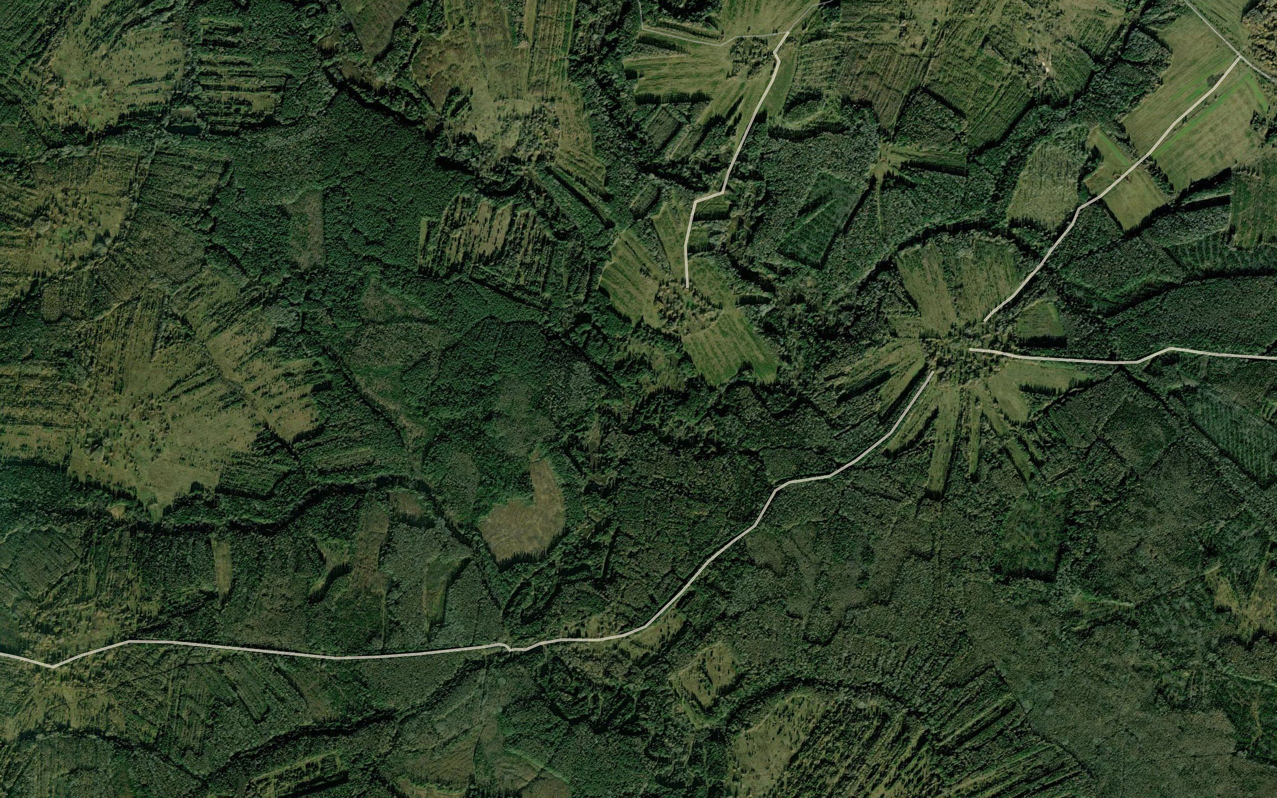 Kozna