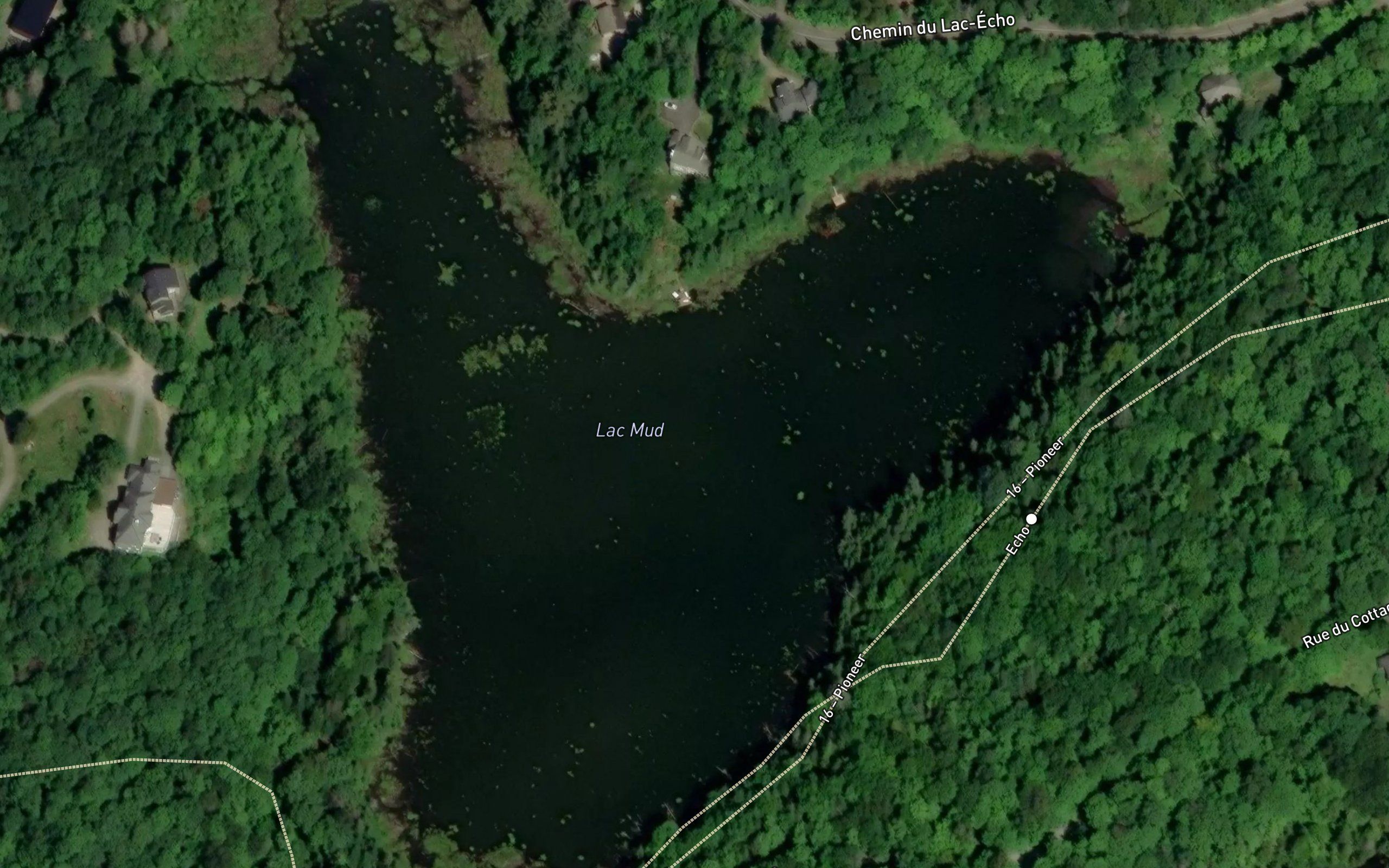 Lac Mud