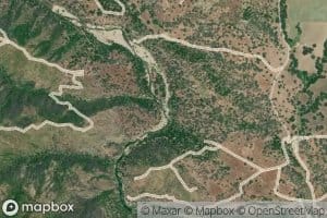 Waterdog Creek