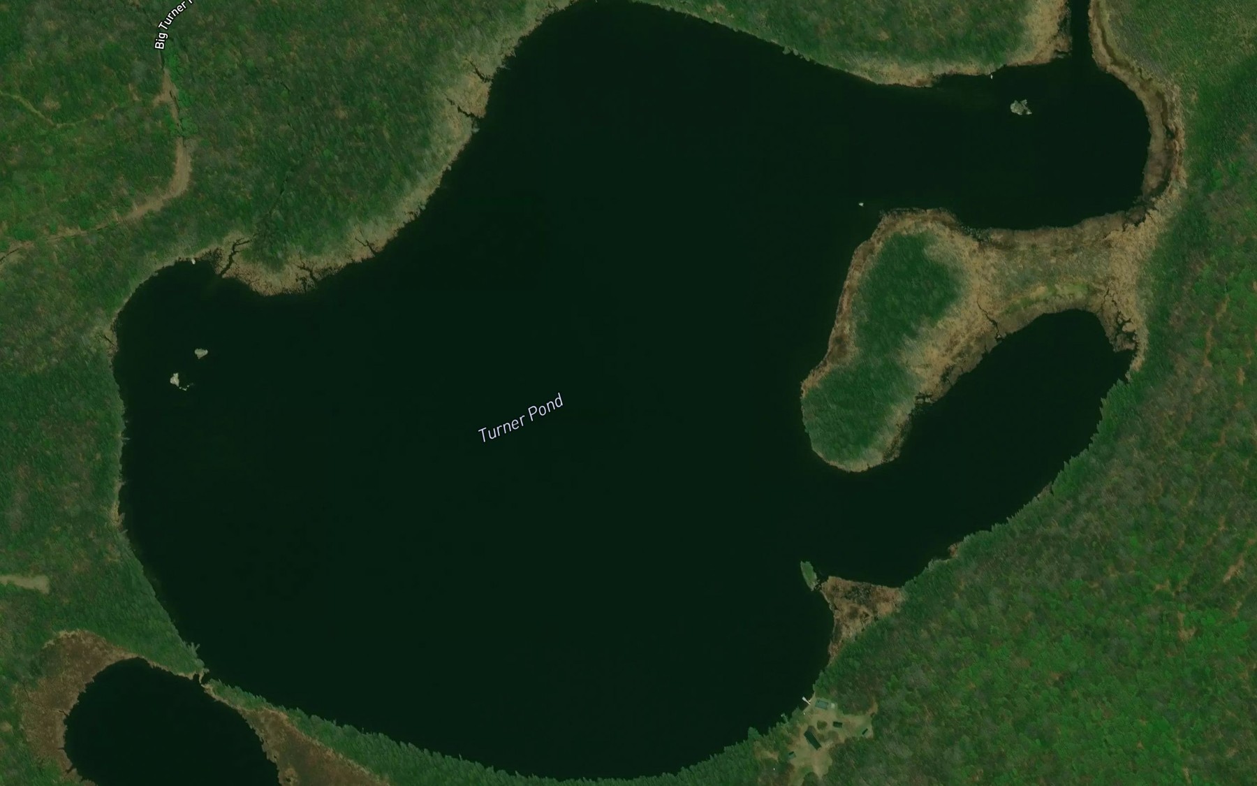 Satellite map of the Turner Pond