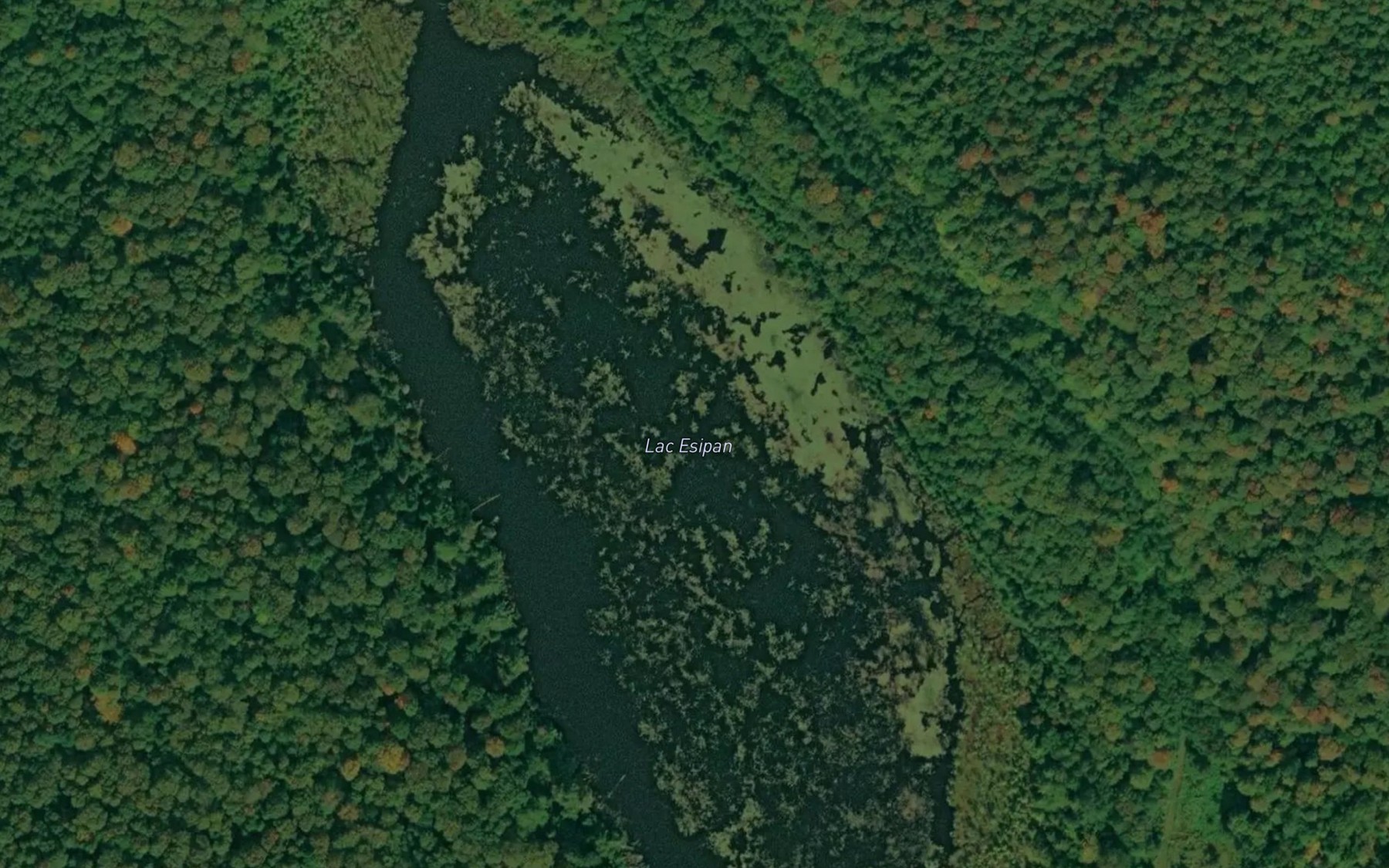Satellite map of the Lac Esipan
