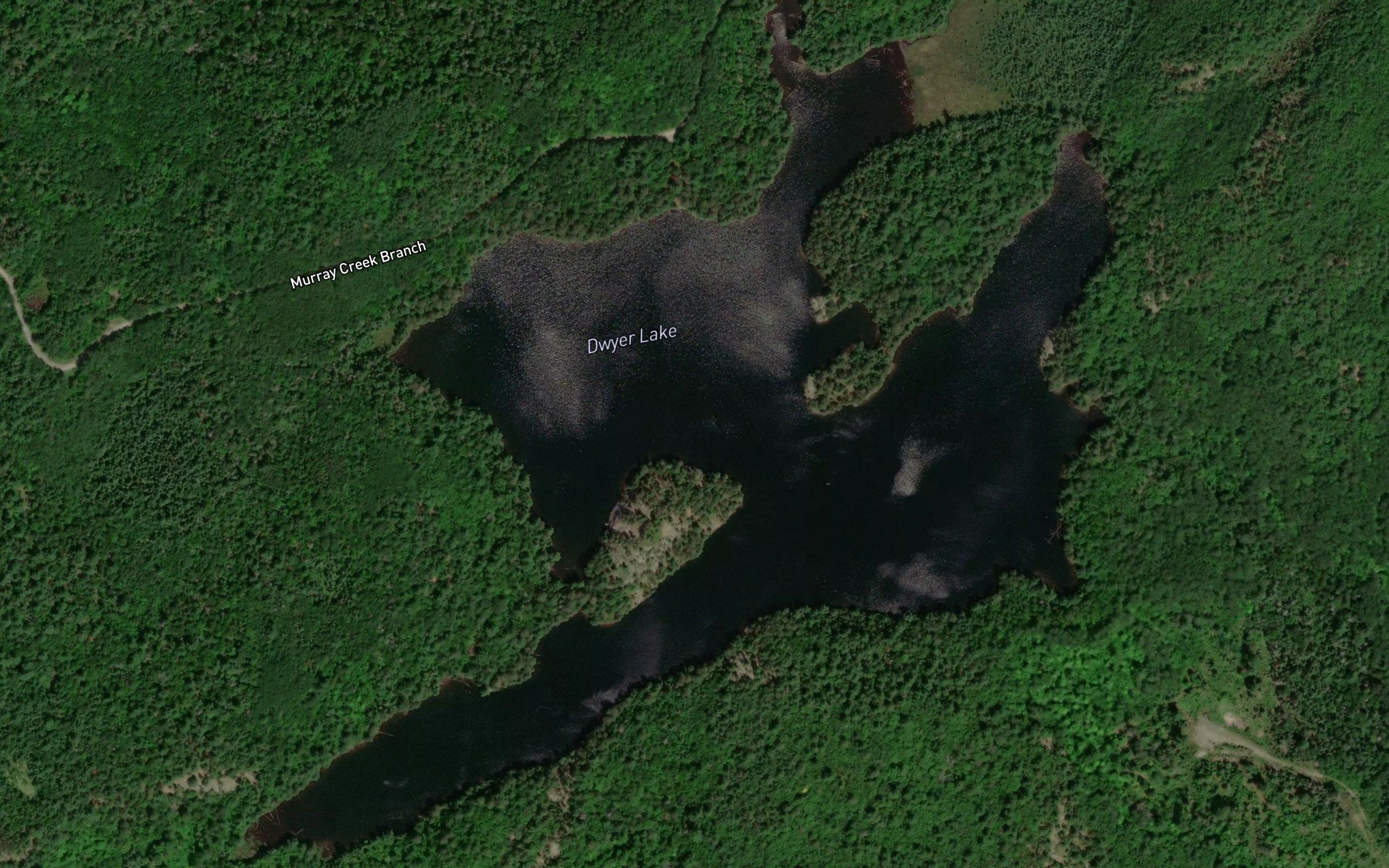 Dwyer Lake
