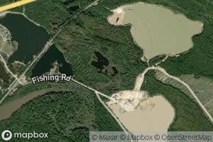 Forest Pond