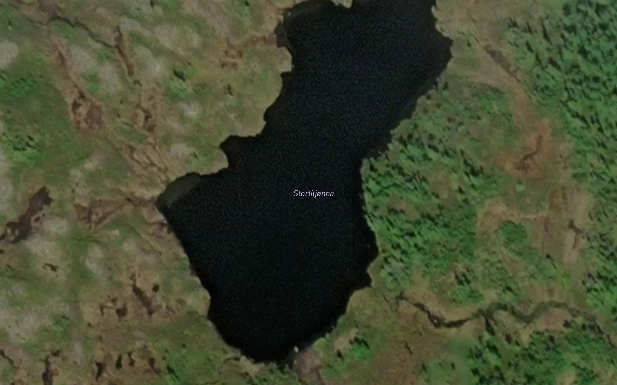 Storlitjorna