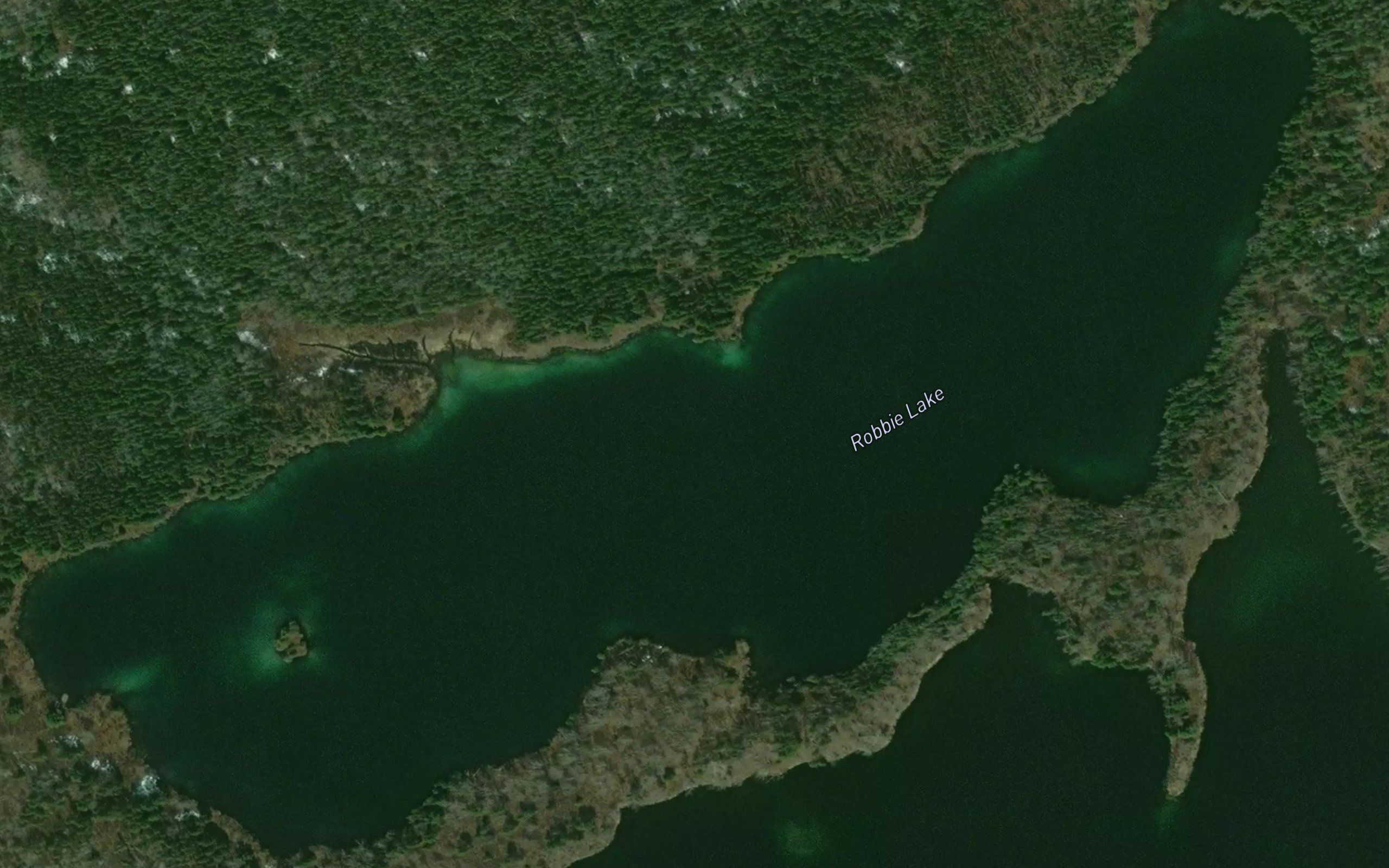 Robbie Lake