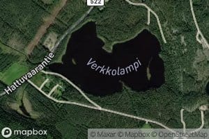 Verkkolampi