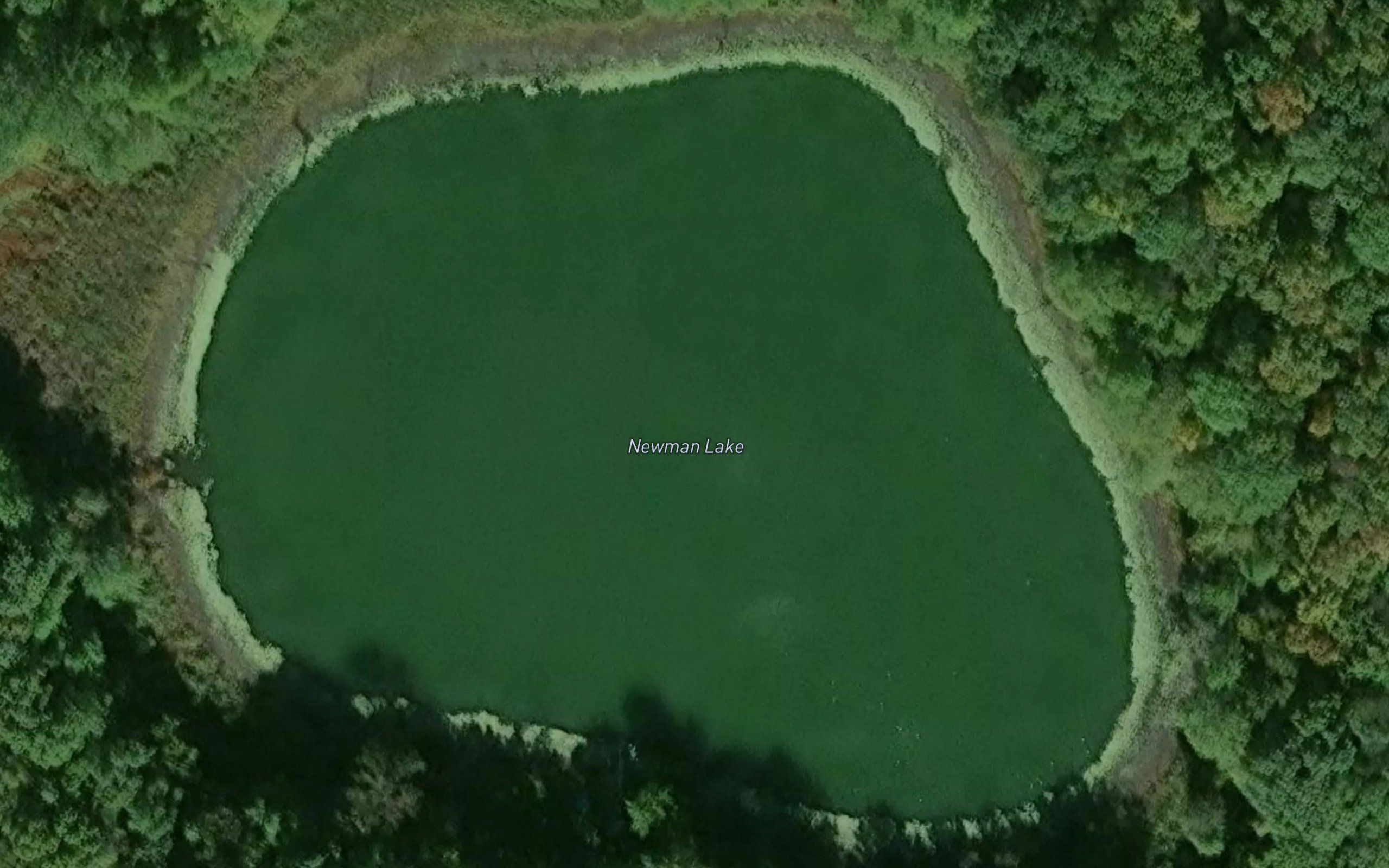 Newman Lake