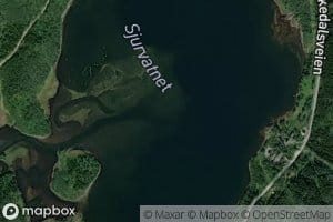 Sjurvatnet
