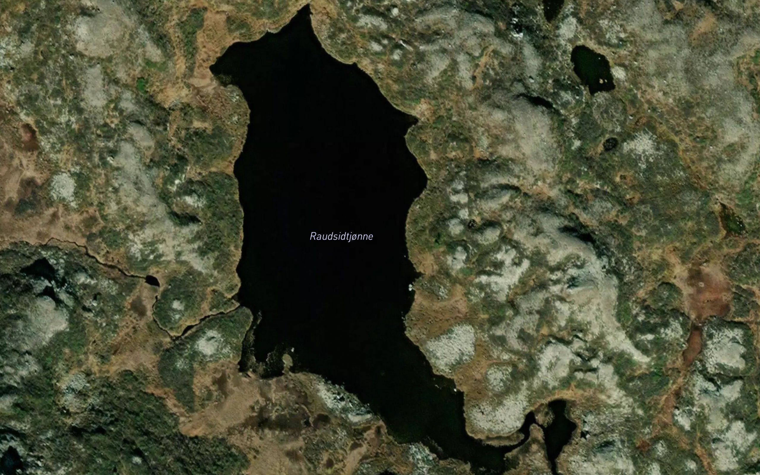 Raudsidtjorni