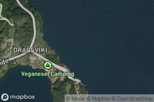 Dragsviki