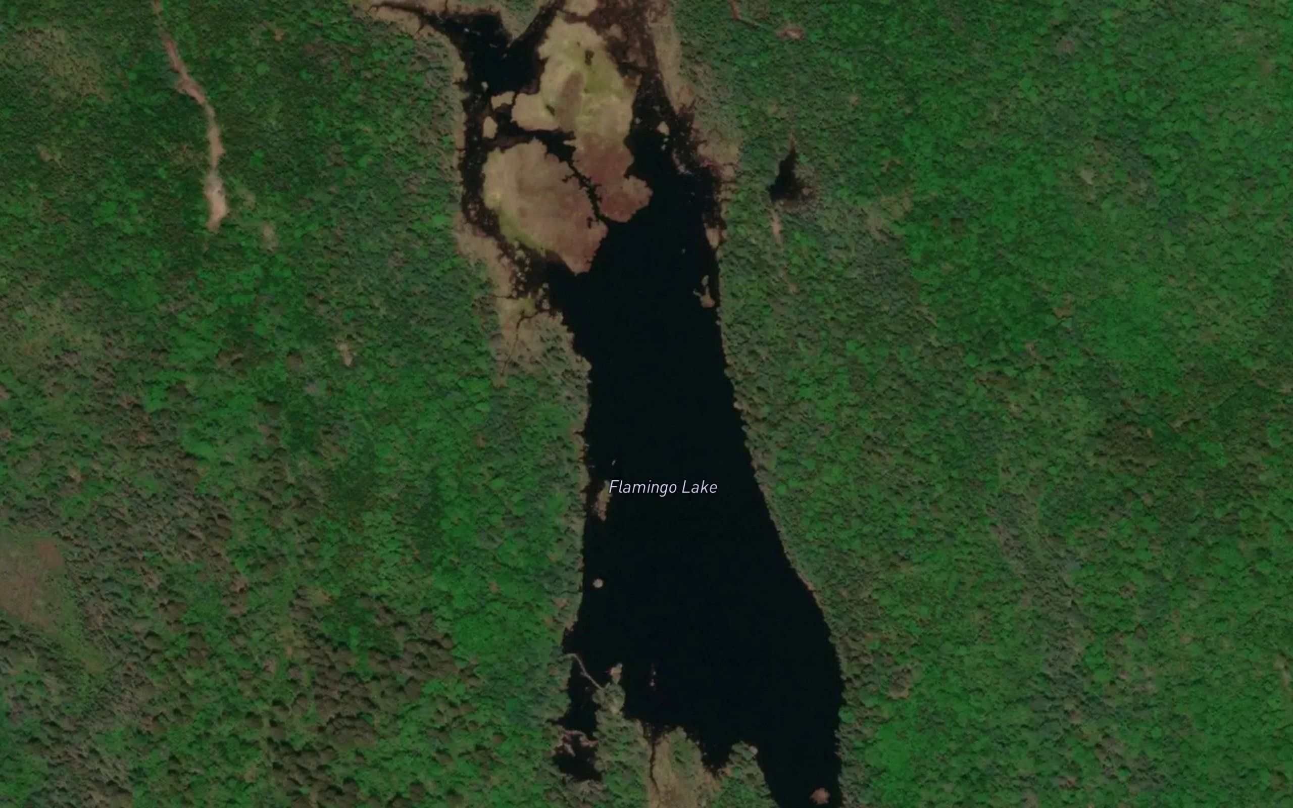 Flamingo Lake