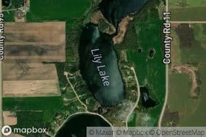 Lily Lake