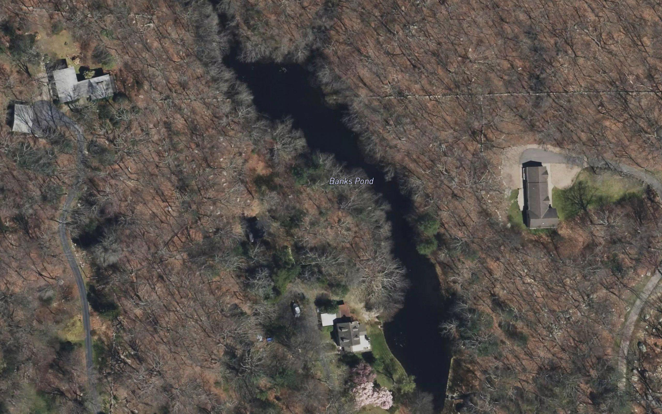 Banks Pond