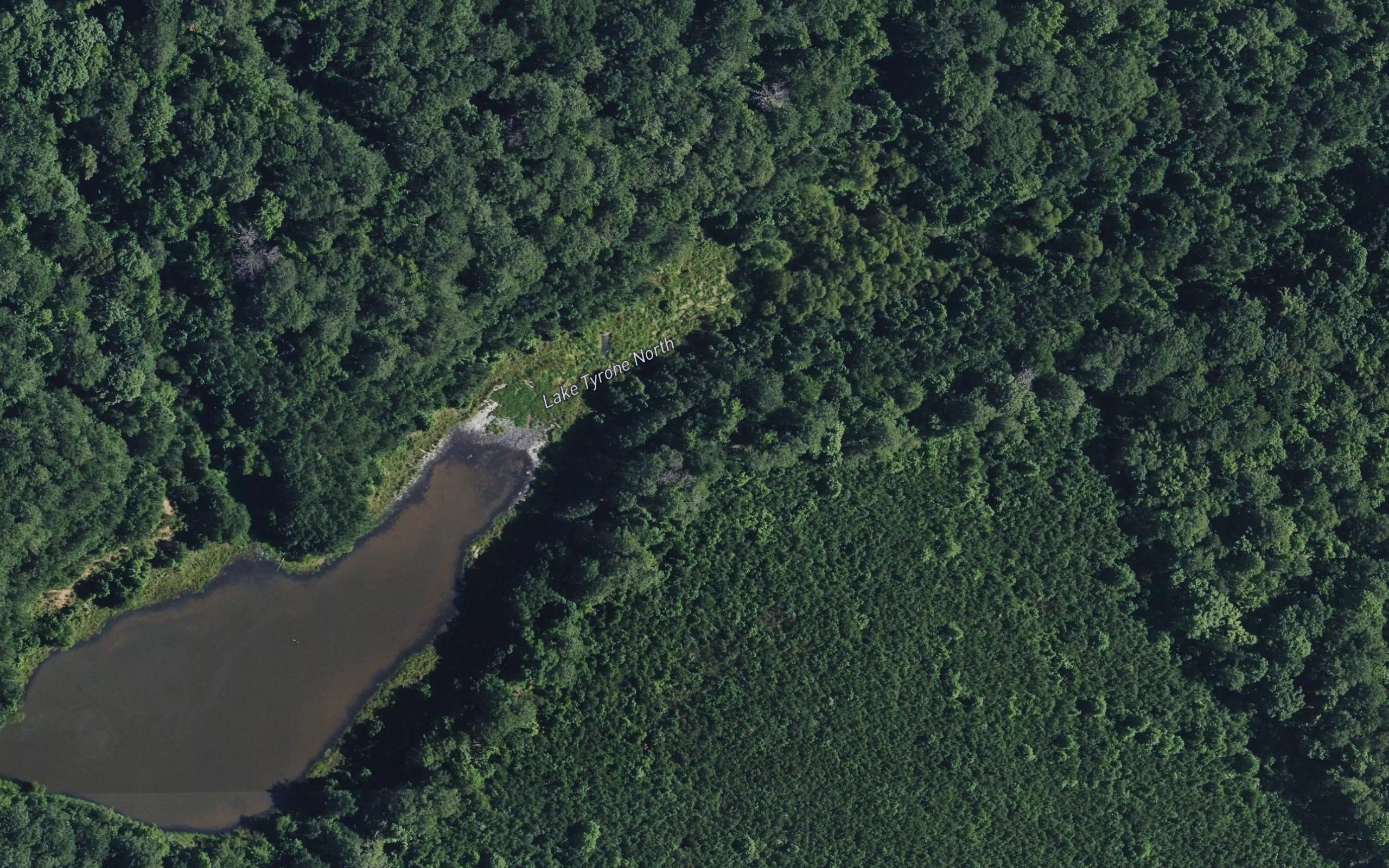 Lake Tyrone North