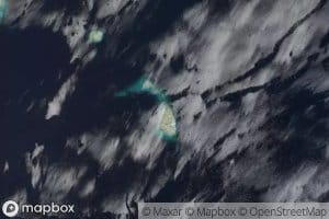 Togo Damanu Coral Heads