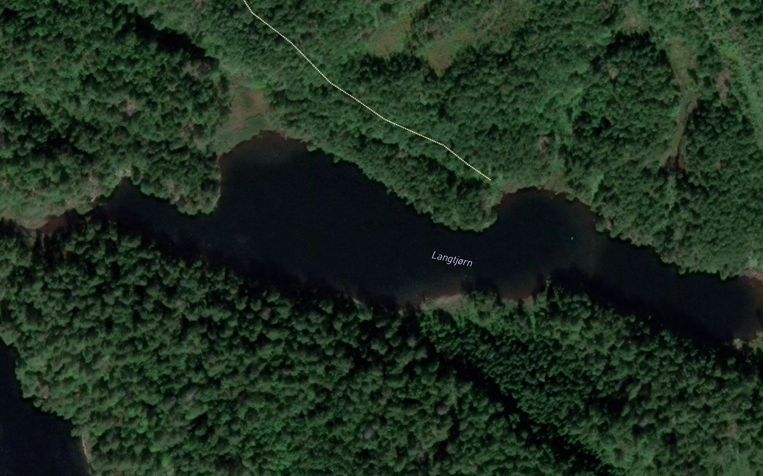 Langtjorn