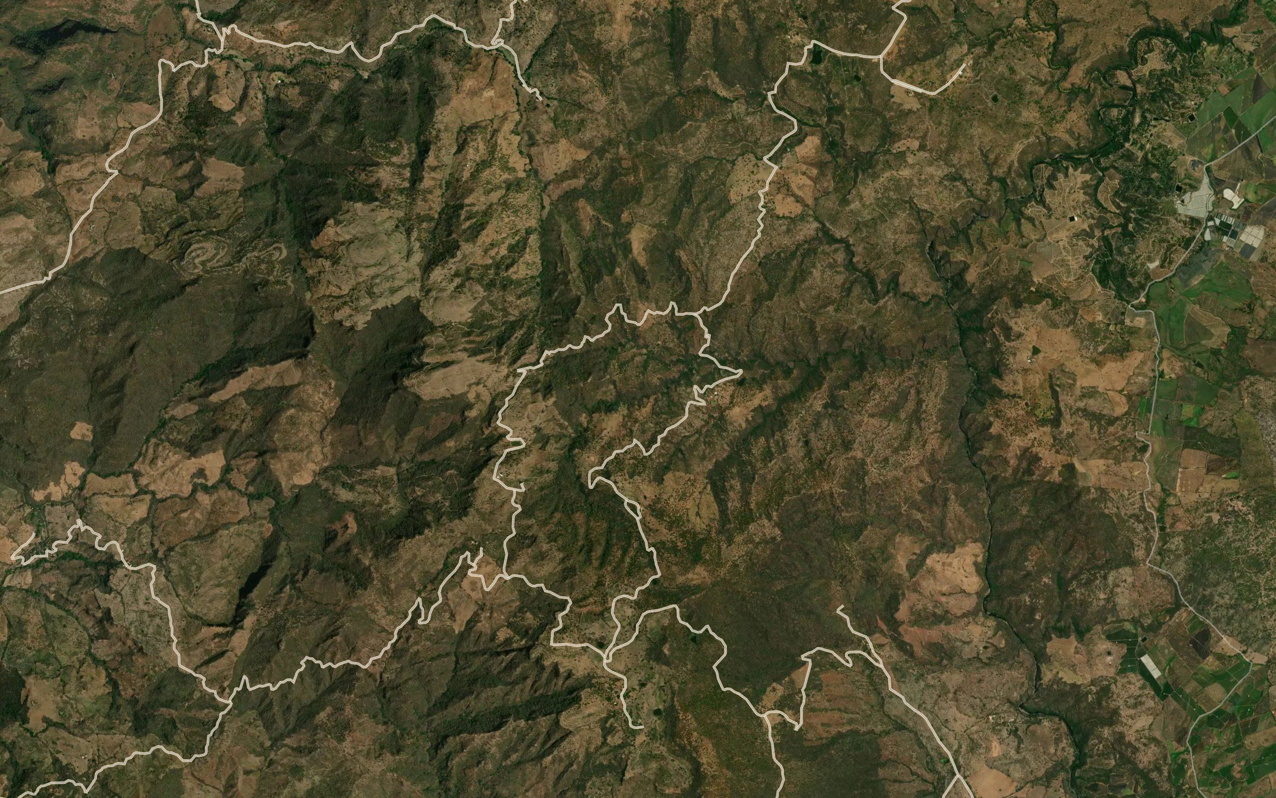 Bracamontes