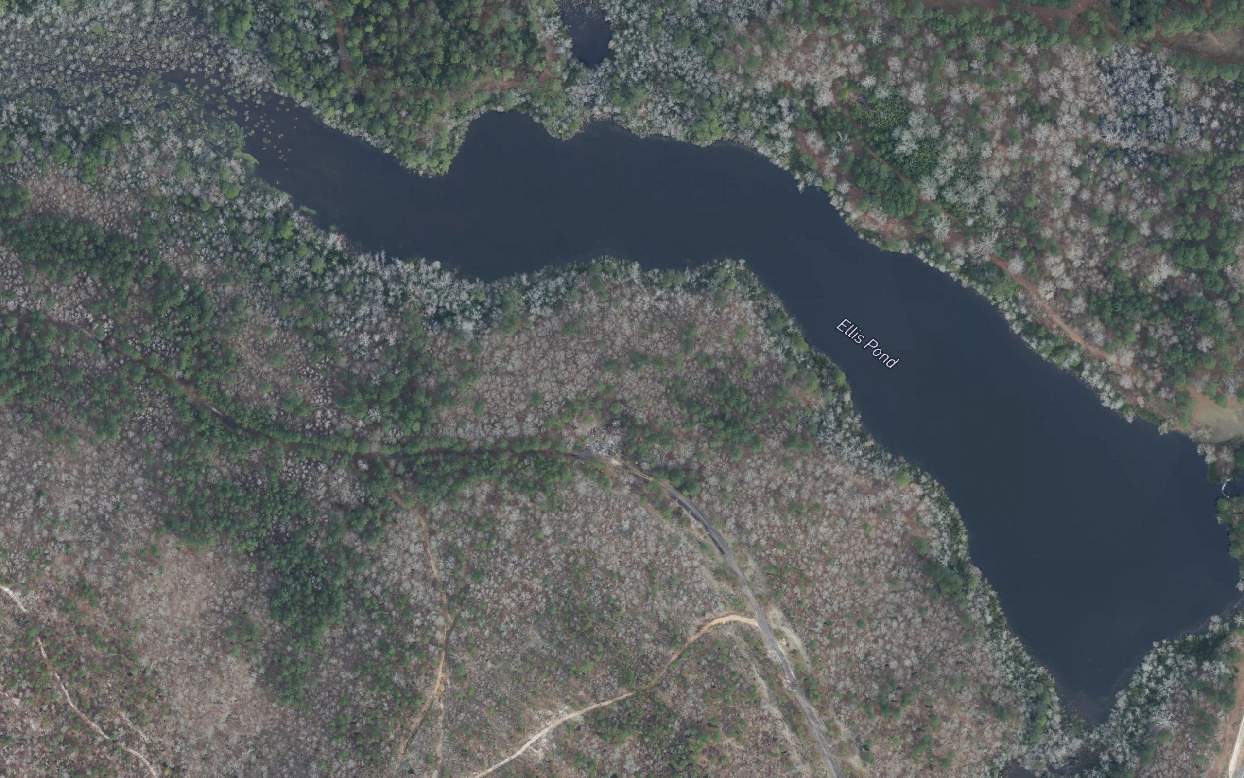 Ellis Pond
