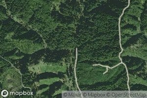 Left Fork Wilhelm Creek