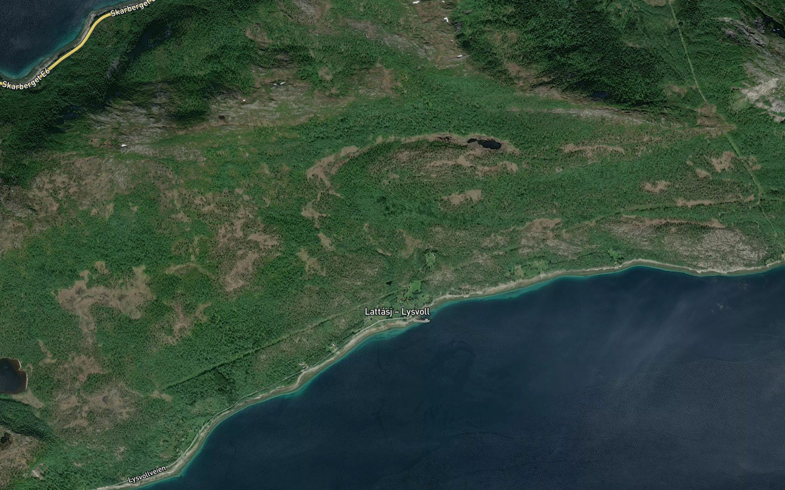 Lysvollelva